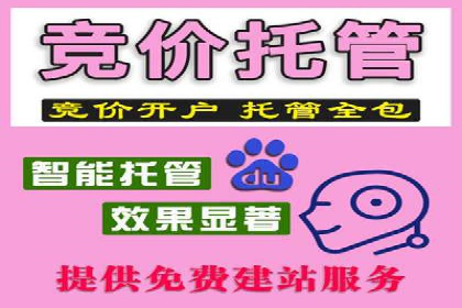 SEM专员如何利用数据分析优化广告投放效果